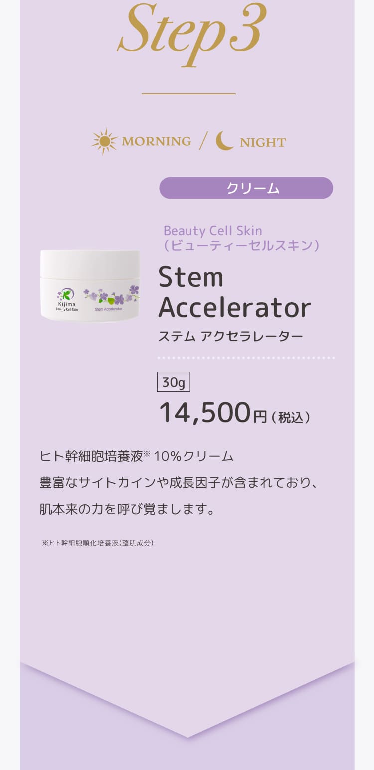 ビューティーセルスキン　ステムアクセラレーター