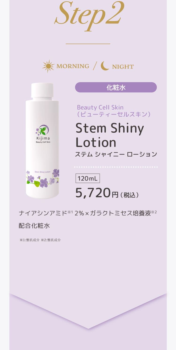 ビューティーセルスキン　ステムシャイニーローション