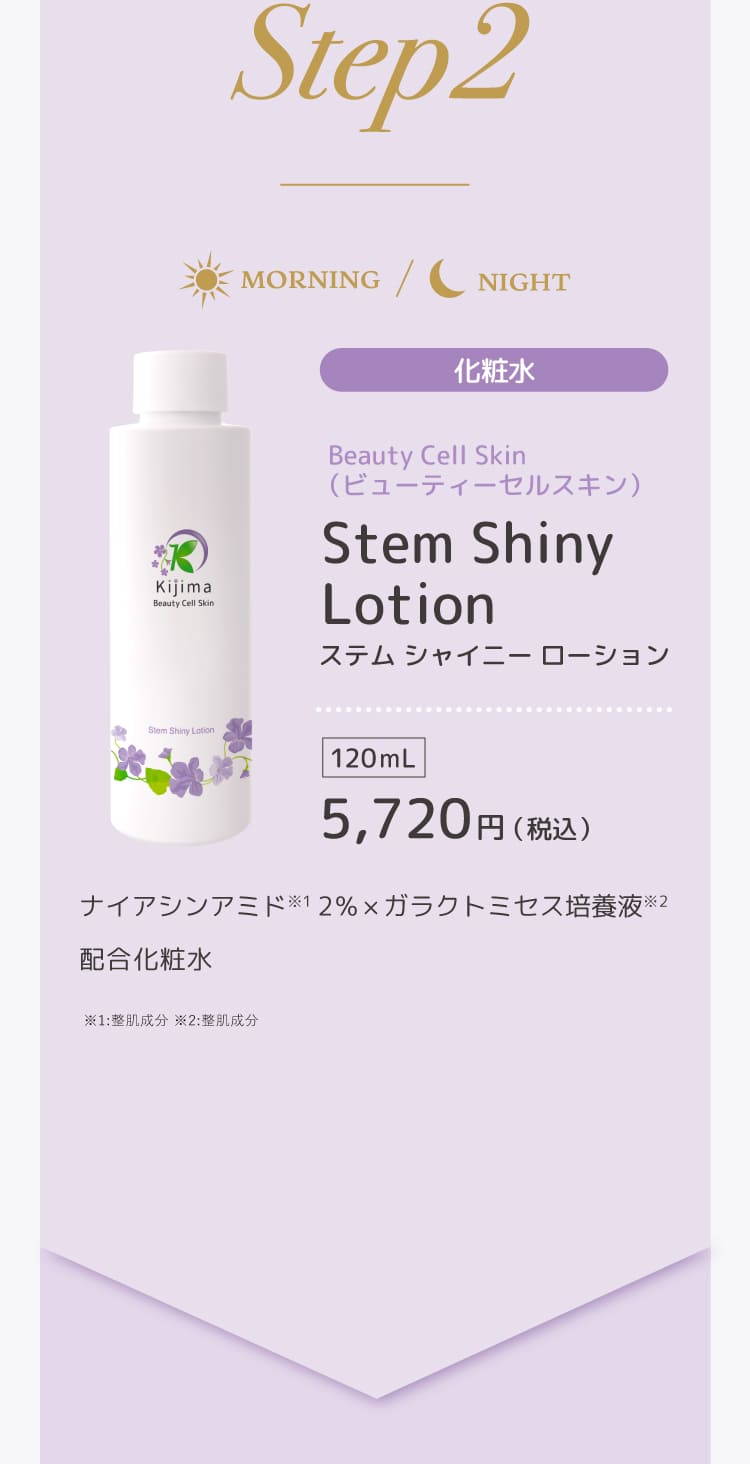 ビューティーセルスキン　ステムシャイニーローション